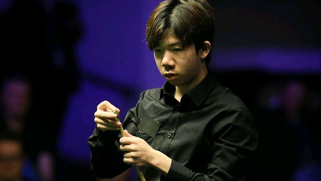 在全球羽毛 在全球羽毛